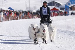 Lenk 2013